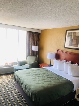 Business Suite