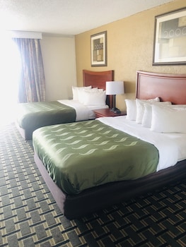 Standard Suite