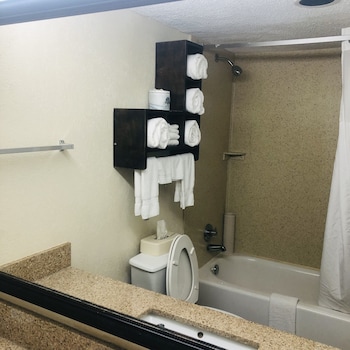Standard Suite