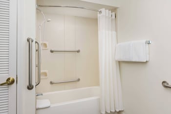 Studio, 1 Queen Bed with Sofa bed (Mobility Accessible, Tub)