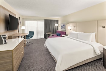 Standard Room, 1 King Bed, Roll-in Shower (Mobility)