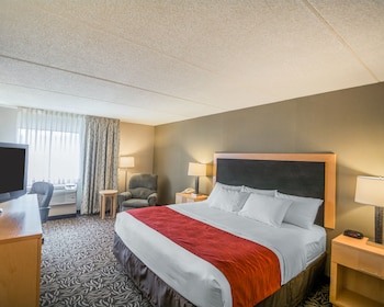 Standard Room, 1 King Bed, Non Smoking
