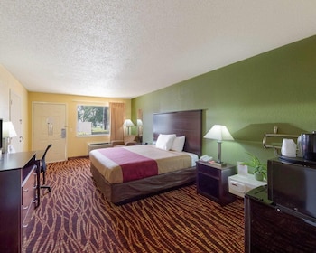 Room, 1 King Bed, Accessible, Non Smoking