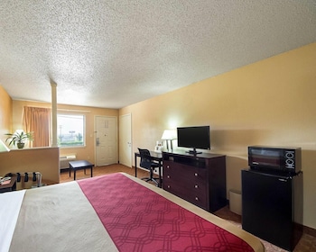 Suite, 1 King Bed with Sofa bed, Non Smoking