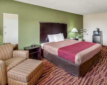 Room, 1 King Bed, Accessible, Non Smoking