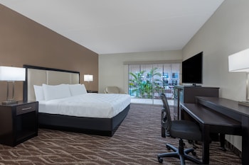 Standard Room, 1 King Bed (Holidome View)