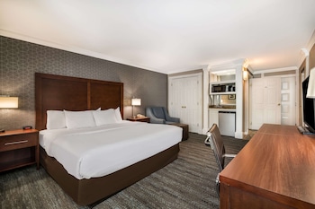 Room, 1 King Bed, Accessible, Non Smoking