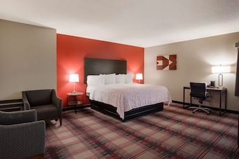 Standard Room, 1 King Bed with Sofa bed, Non Smoking, Refrigerator & Microwave (with Sofabed)