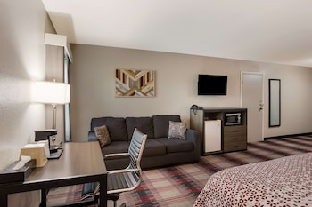 Standard Room, 1 King Bed with Sofa bed, Non Smoking, Refrigerator & Microwave (with Sofabed)