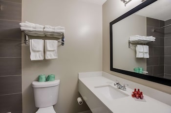 Standard Room, Multiple Beds, Non Smoking, Refrigerator & Microwave (with Sofabed)