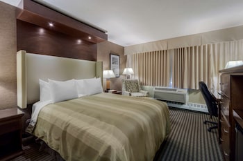 Standard Room, 1 King Bed, Non Smoking (Walk-in Shower)
