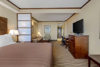 Suite, 1 King Bed, Non Smoking (Walk-in Shower)