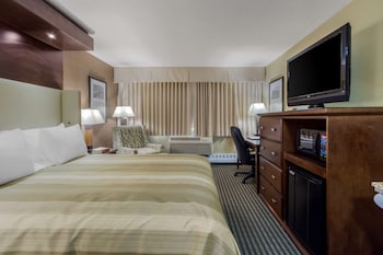 Standard Room, 1 King Bed, Non Smoking (Walk-in Shower)