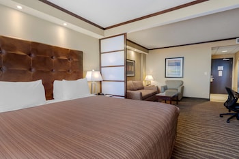 Suite, 1 King Bed, Non Smoking (Walk-in Shower)