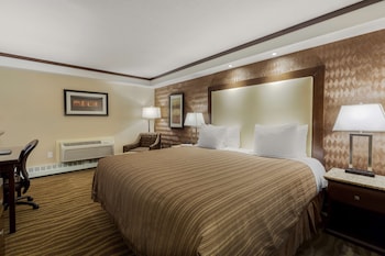Suite, 1 King Bed, Non Smoking (Walk-in Shower)