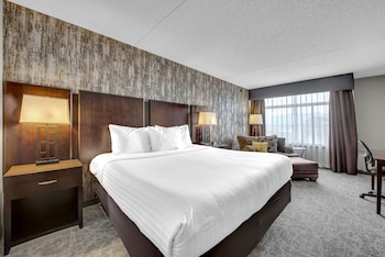 Room, 1 King Bed, Mountain View (No Pets)