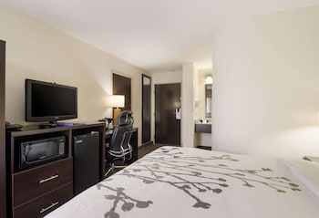 Room, 1 Queen Bed, Non Smoking
