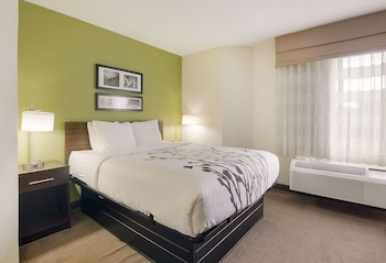 Room, 1 Queen Bed, Non Smoking