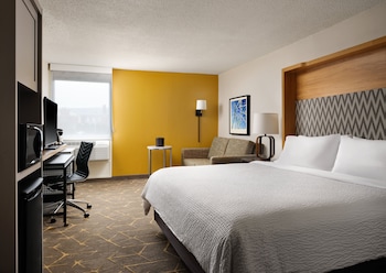 Suite, 1 King Bed with Sofa bed