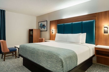 Room, 1 King Bed, Accessible, Non Smoking