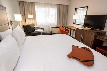Room, 1 King Bed, Kitchenette