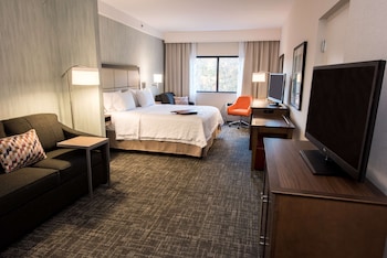 Suite, 1 King Bed, Kitchenette