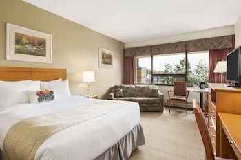 Room, 1 King Bed, Non Smoking