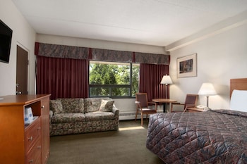 Room, 1 King Bed, Smoking