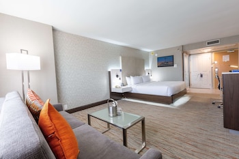 Room, 1 King Bed, Accessible, Bathtub (High Floor, Mobility/Hearing)