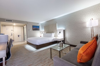 Room, 1 King Bed, Accessible, Non Smoking