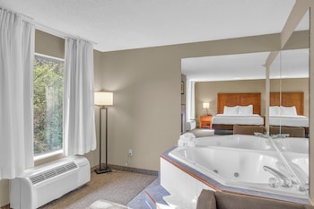 Standard Studio Suite
