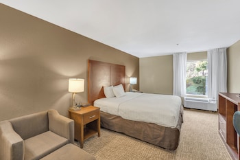 suite with sofa bed