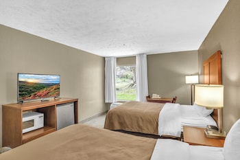 Comfort wheelchair Double Room
