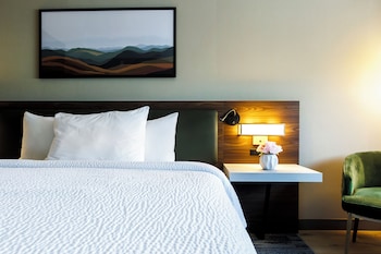 Room, 1 King Bed with Sofa bed
