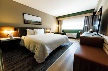 Junior Suite, 1 King Bed
