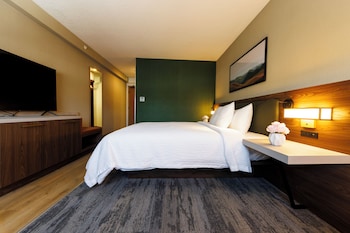 Room, 1 King Bed with Sofa bed
