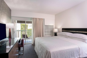 Room, 1 King Bed