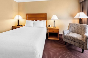 Standard Room, 1 King Bed, Non Smoking, Refrigerator & Microwave