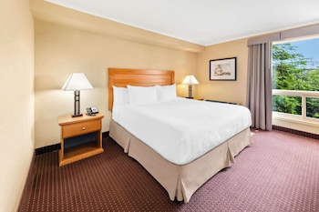 Suite, 1 King Bed, Fireplace, Ground Floor (Living Room)
