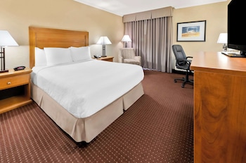 Standard Room, 1 Queen Bed, Accessible, Refrigerator