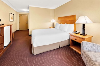 Standard Room, 1 King Bed, Non Smoking, Refrigerator & Microwave