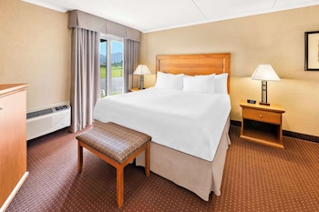 Suite, 1 King Bed, Non Smoking, Refrigerator & Microwave (with Sofabed)