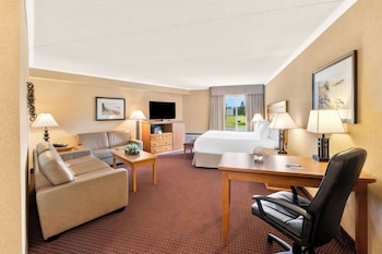 Suite, 1 King Bed, Non Smoking, Refrigerator & Microwave (with Sofabed)