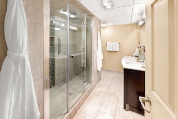 Suite, 1 King Bed, Non Smoking, Refrigerator & Microwave (with Sofabed)