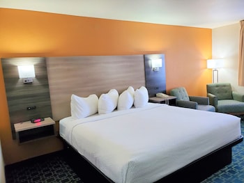 Room, 1 King Bed, Non Smoking
