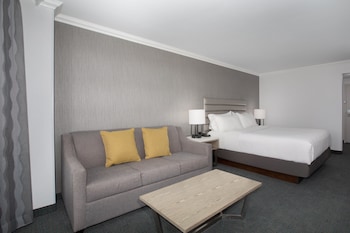 Standard Room, 1 King Bed with Sofa bed
