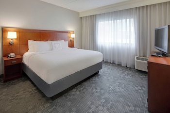 Room, 1 King Bed with Sofa bed (Hearing Accessible)