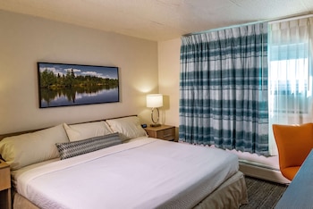 Room, 1 King Bed, Non Smoking