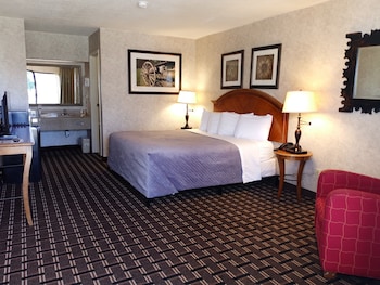 Room, 1 King Bed, Non Smoking