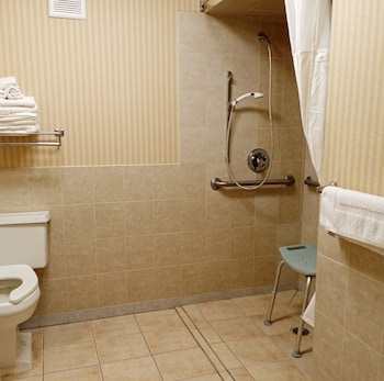Room, 1 King Bed, Accessible, Non Smoking
